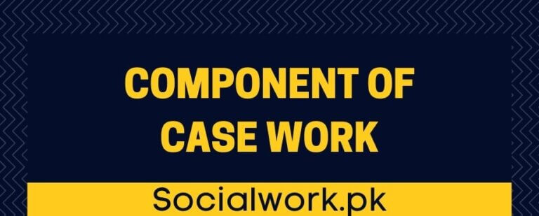 Component of case work