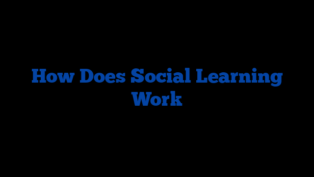 How Does Social Learning Work